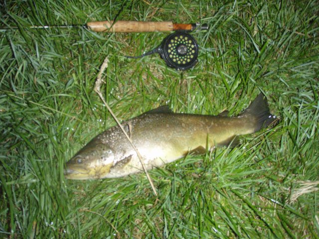 48 cm,  je n'ai que cette photo j'&eacute;tais seul !!!!
Sans &eacute;puisette